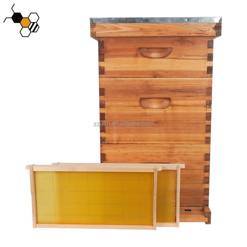 Beehive Frame Wax - 고품질 30프레임 벌집 키트, 멀티 스위트