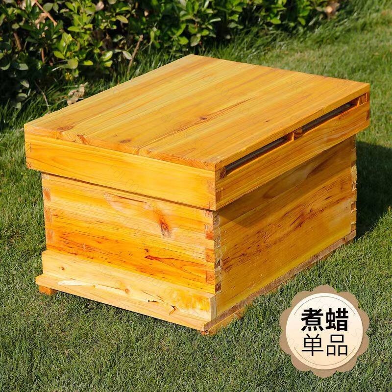 Beehive Frame Wax - 완벽한 벌집 키트 10개 프레임 왁스