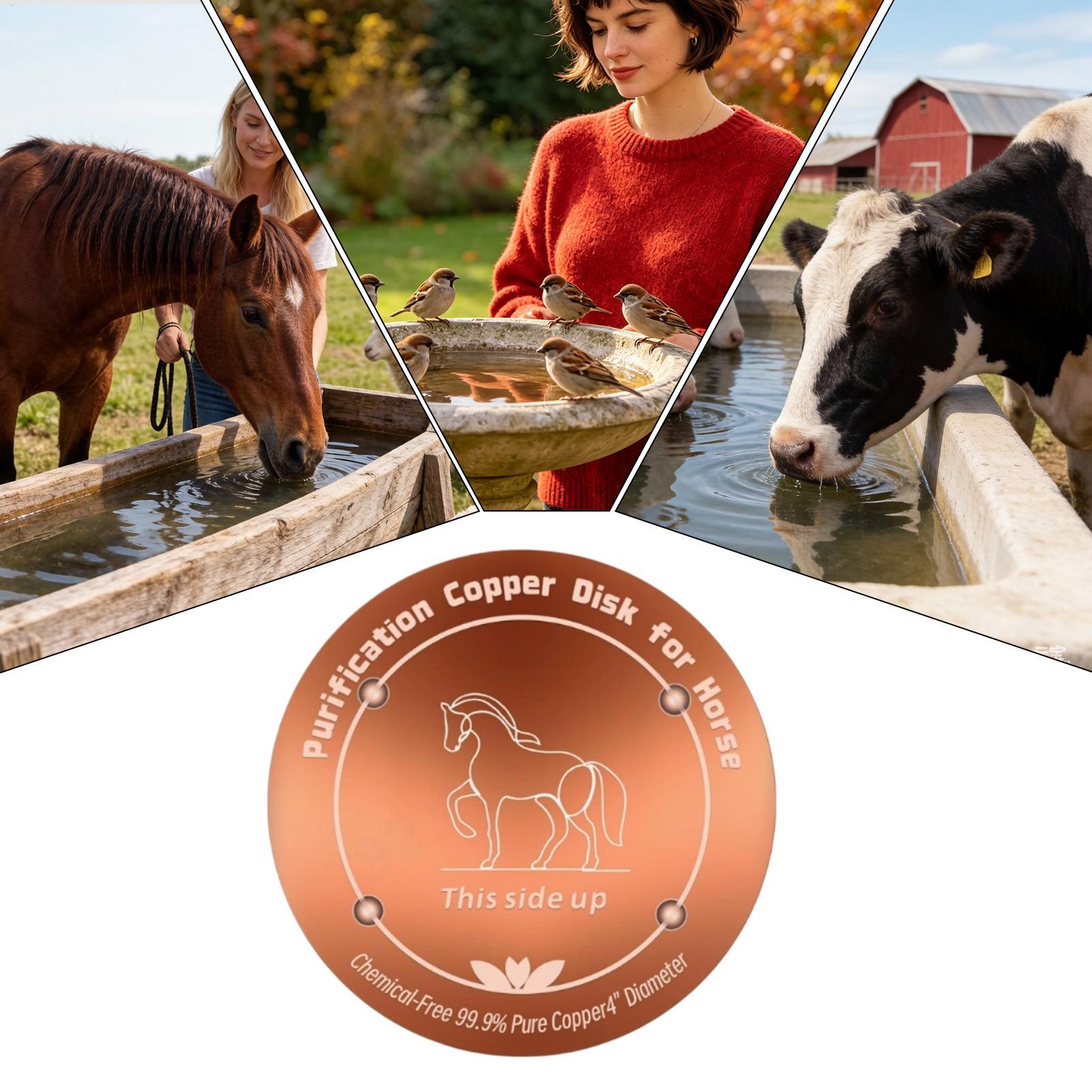 Farming & Agriculture Word Stacks - 4인치 구리 정수기 소 물통 정화판
