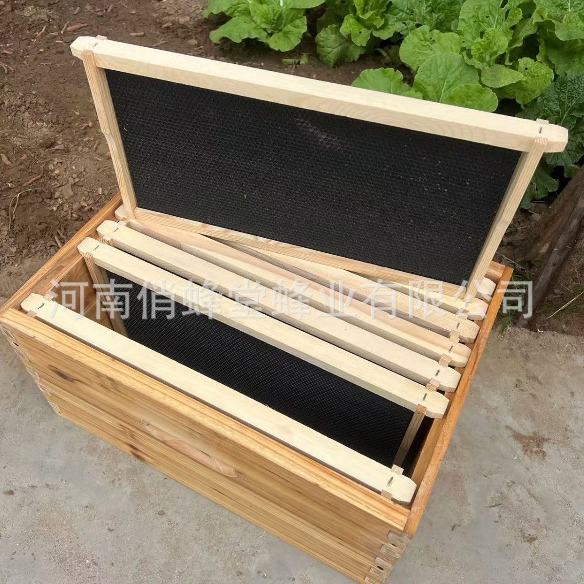Beehive Frame Wax - 양봉 도구 최고급 무소음 플라스틱 둥지