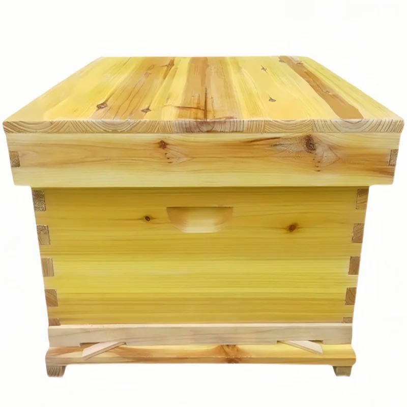 Beehive Frame Wax - 벌집 상자에 들어있는 벌집, 건조된 전나무로