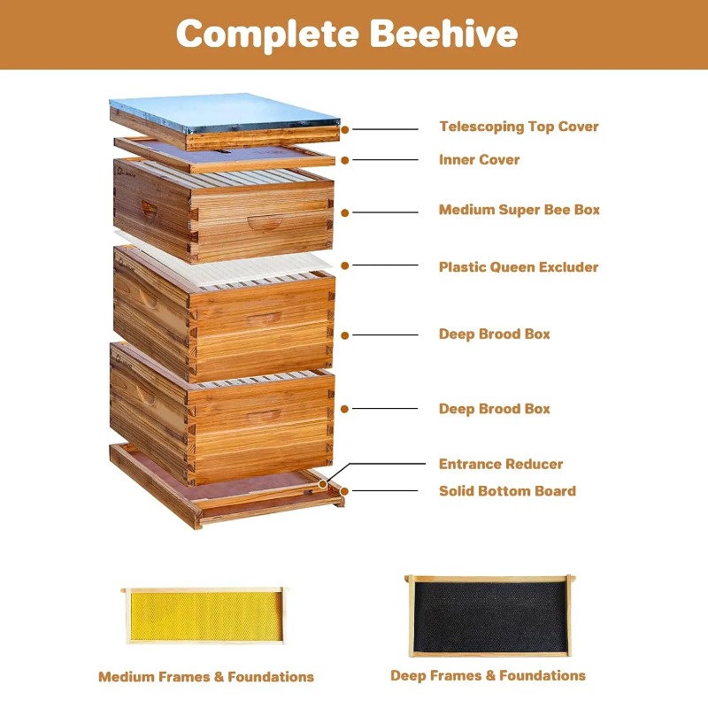10프레임 완성형 벌집 키트, 초보자용 왁스 코팅 벌집 - Beehive Frame Wax 리뷰 및 가격