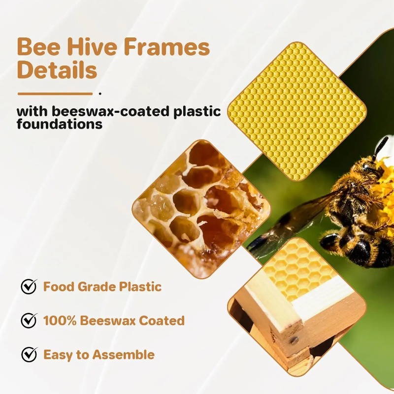 10프레임 완성형 벌집 키트, 초보자용 왁스 코팅 벌집 - Beehive Frame Wax 리뷰 및 가격