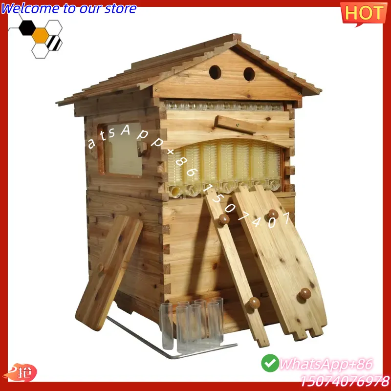 2026년형 중국산 왁스 코팅된 중국산 전나무 자동 꿀 - Beehive Frame Wax 리뷰 및 가격