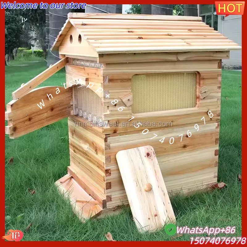 2026년형 중국산 왁스 코팅된 중국산 전나무 자동 꿀 - Beehive Frame Wax 리뷰 및 가격
