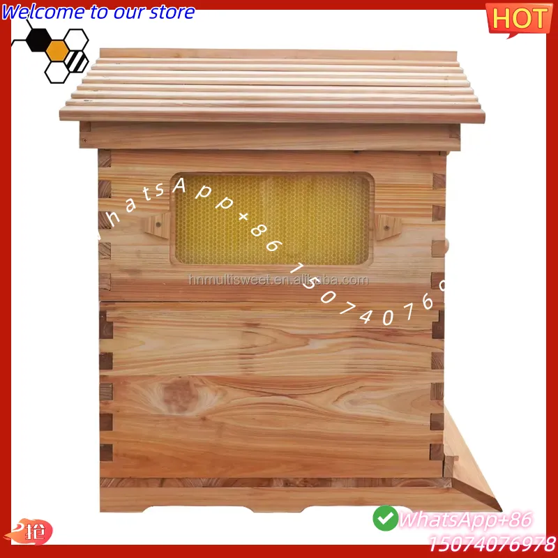 2026년형 중국산 왁스 코팅된 중국산 전나무 자동 꿀 - Beehive Frame Wax 리뷰 및 가격
