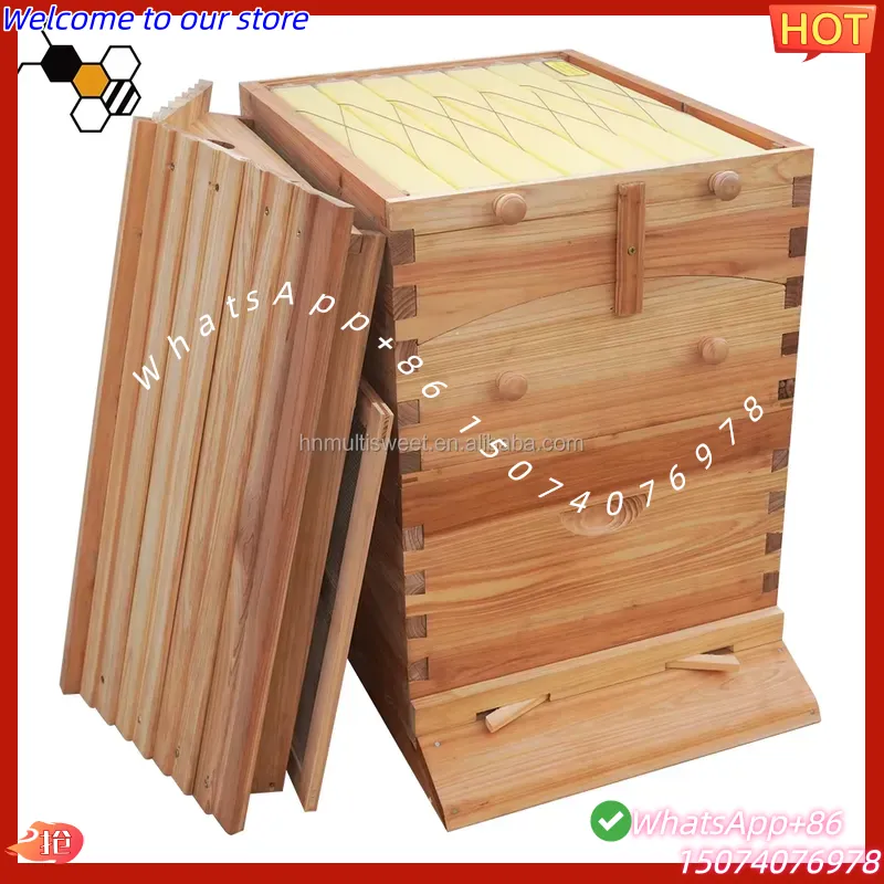 2026년형 중국산 왁스 코팅된 중국산 전나무 자동 꿀 - Beehive Frame Wax 리뷰 및 가격