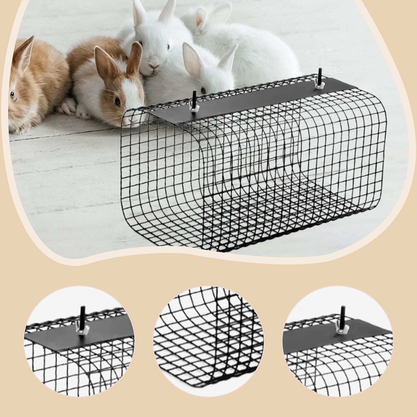 페럿 햄스터 터널 은신처 집 소형 동물 튼튼한 케이지  - Rabbit Cage Wire 리뷰 및 가격