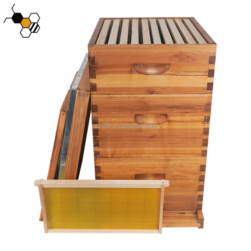 고품질 30프레임 벌집 키트, 멀티 스위트 왁스 코팅, - Beehive Frame Wax 리뷰 및 가격