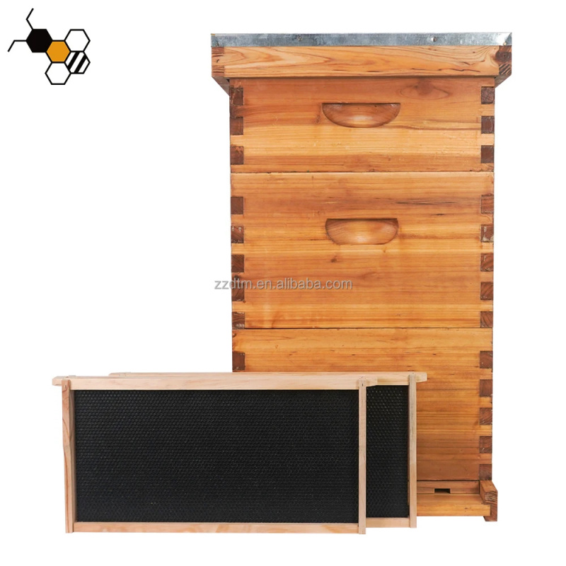 고품질 30프레임 벌집 키트, 멀티 스위트 왁스 코팅, - Beehive Frame Wax 리뷰 및 가격