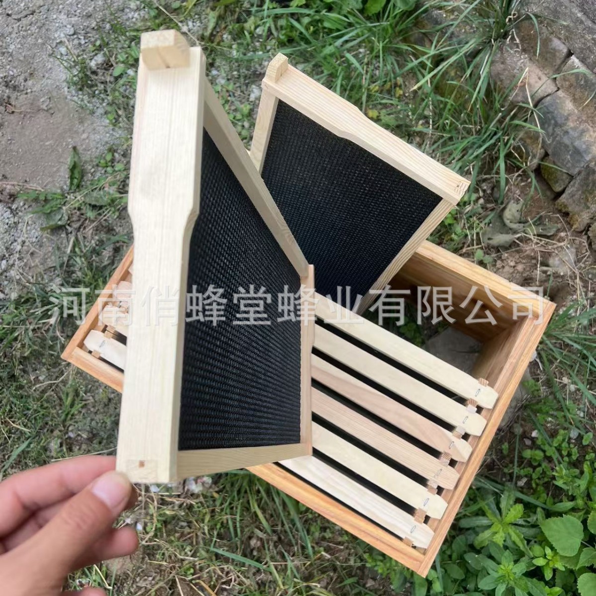 양봉 도구 최고급 무소음 플라스틱 둥지 베이스 소나무  - Beehive Frame Wax 리뷰 및 가격