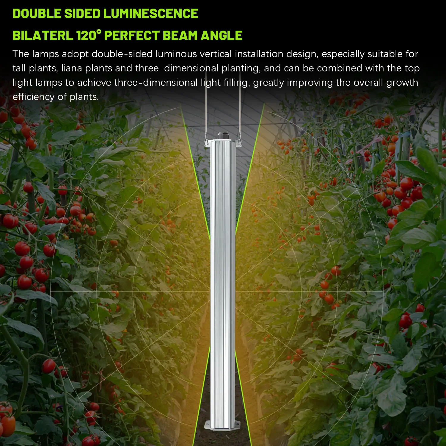 최고의 ETL 인증 플랜트 그린 월 농업 수직 정원 수 - List Of Agriculture Farming 리뷰 및 가격