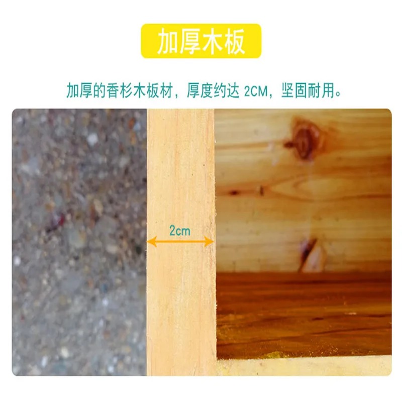 벌집 상자에 들어있는 벌집, 건조된 전나무로 만든 왁스 - Beehive Frame Wax 리뷰 및 가격
